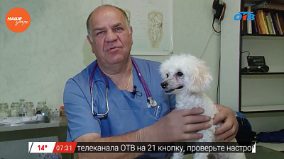 Ветеринарный врач Николай Калинин провел осмотр собаки