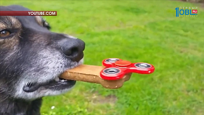 Спиннеромания охватила Южный Урал 