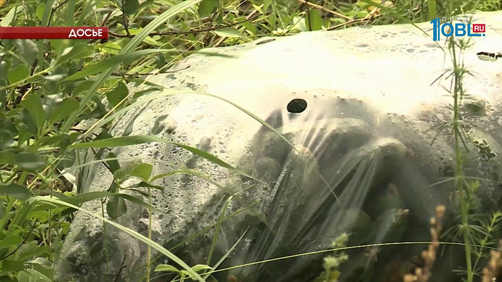 Чиновники Сосновского района намерены самостоятельно найти хозяев огуречной свалки в лесу