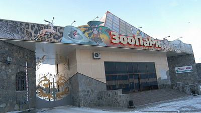 Косули и медведи переедут из челябинского зоопарка в сосновый бор