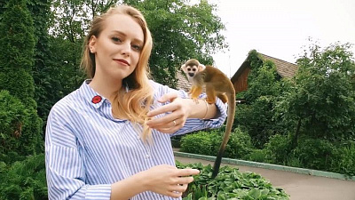 В программе «Наше утро» проведем день летних развлечений