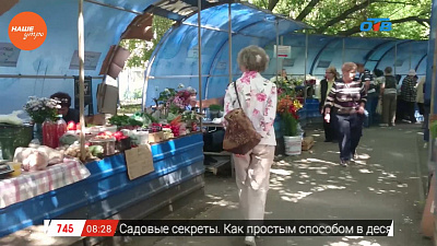 Наше УТРО на ОТВ – включение с рынка