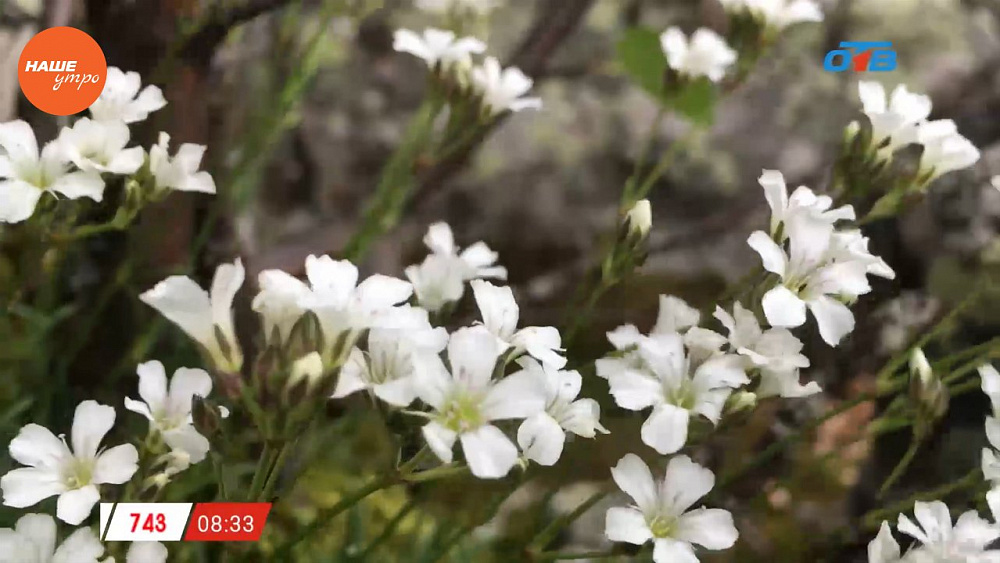 Наше УТРО на ОТВ – включение с горы Лукаш