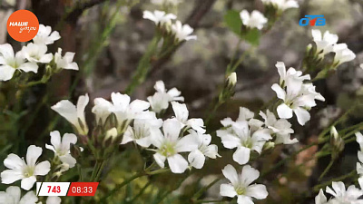 Наше УТРО на ОТВ – включение с горы Лукаш