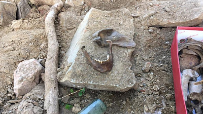 В Кыштыме под храмом нашли человеческие останки 