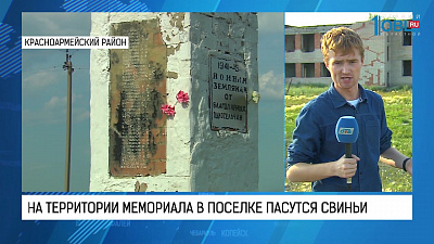 На территории мемориала в поселке пасутся свиньи