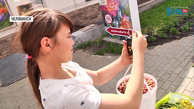 На Южном Урале обильный урожай лесных ягод