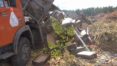 Челябинские таможенники задержали водителя грузовика с запрещенными яблоками 