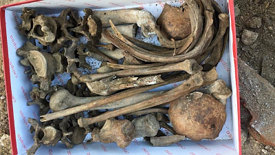 Найденные в пустующем храме человеческие кости могут принадлежать расстрелянным людям 