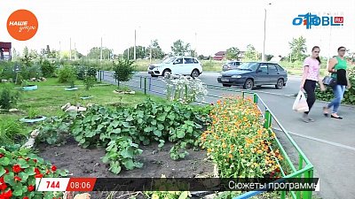 Наше УТРО на ОТВ – сюжет уютный двор