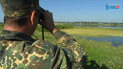 В Челябинской области начали учёт водоплавающих птиц