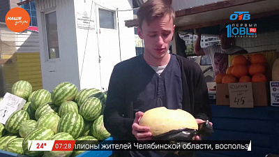 Наше УТРО на ОТВ – где выгоднее купить дыню?