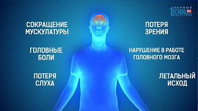 Менингит: эпидемия или норма?
