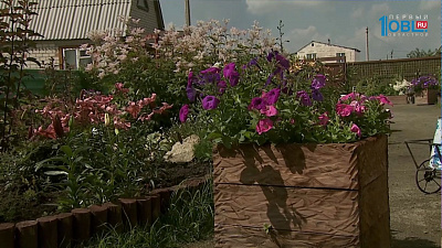 С 2019 года садоводы смогут получать прописку в своих садах