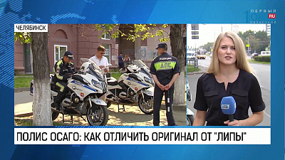 Полис ОСАГО: как отличить оригинал от "липы"