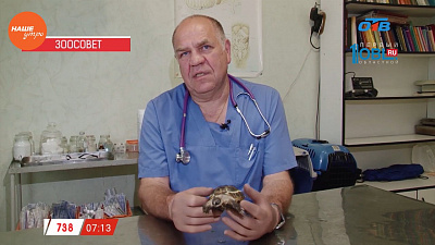 Наше УТРО на ОТВ – зоосоветы с Николаем Калининым