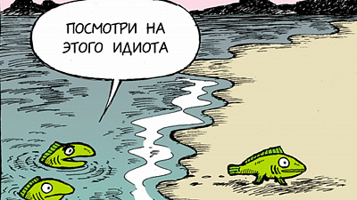 Рыба в мутной воде — это подступ к беде 