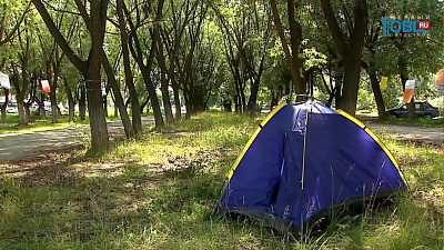 Челябинцы бастуют против вырубки многолетних деревьев