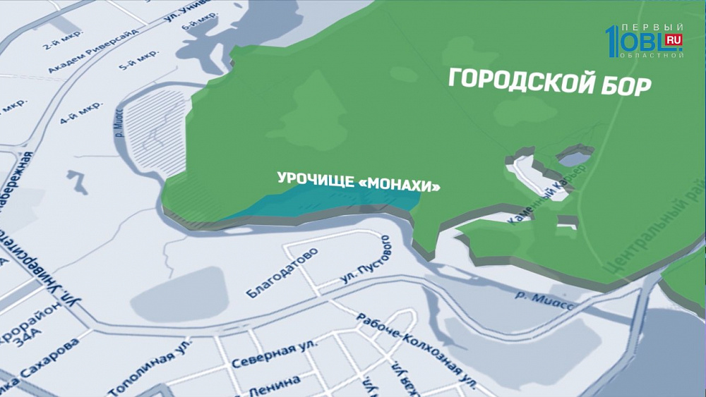 Городской бор вырастет на 60 гектаров