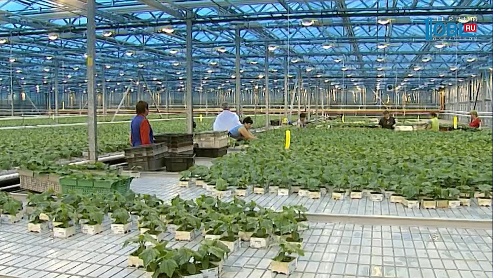 В Усть-Катаве построят агропарк