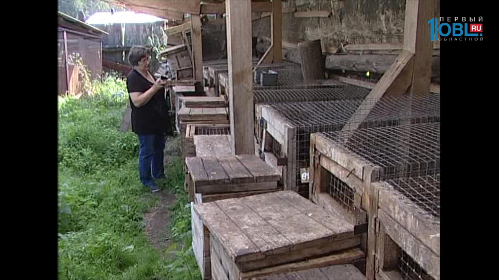 Время новостей. Миасс от 01.08.2017