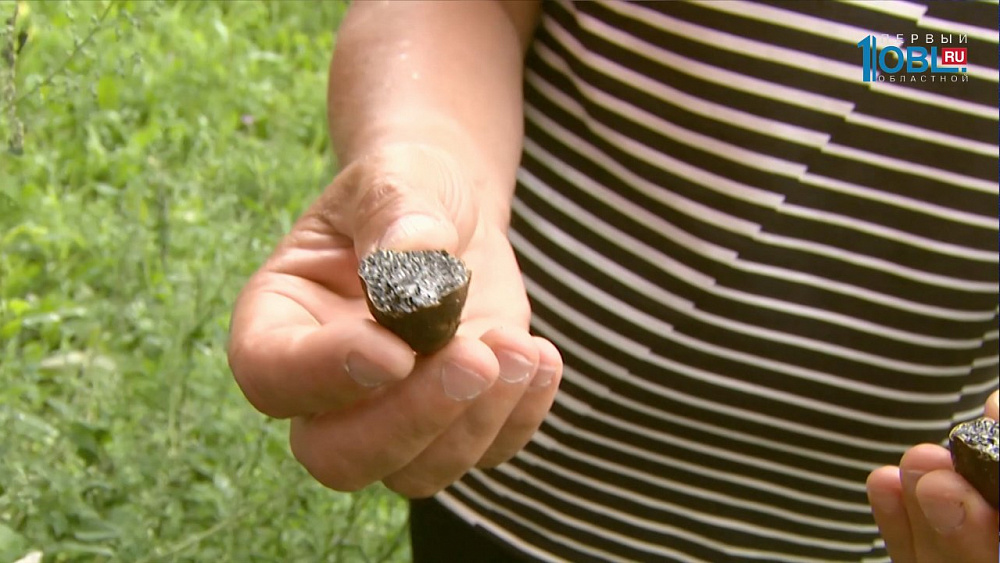 Челябинка нашла "черные трюфели"