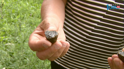 Челябинка нашла "черные трюфели"