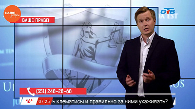 Наше УТРО на ОТВ – ваше право – спорные вопросы ДТП