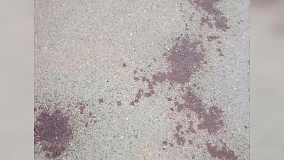 Нецензурное послание кровью на асфальте обнаружили златоустовцы. Видео 18+ 