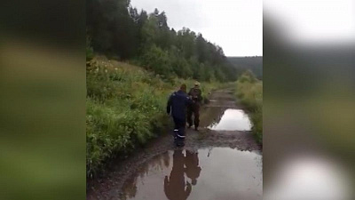 Спасатели сняли на видео встречу с потерявшимся в лесу ягодником 