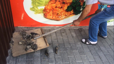 Возле рынка обнаружили кучу мертвых крыс