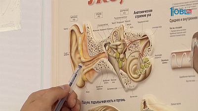 О здоровье 12.08.2017