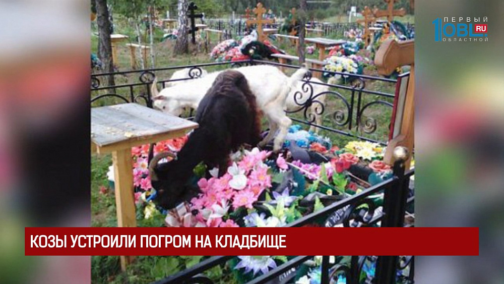 Происшествия недели 13.07.2017