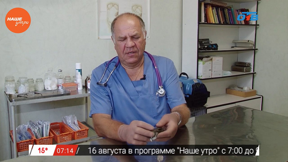 Ветеринар Николай Калинин провел осмотр грызуна