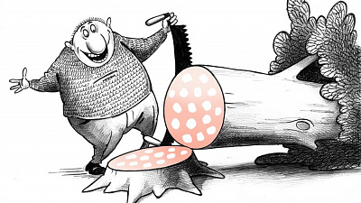 Не видно перспектив для вырубленных ив