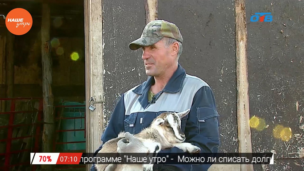 Наше УТРО на ОТВ – пушистое утро о козах (2 часть)