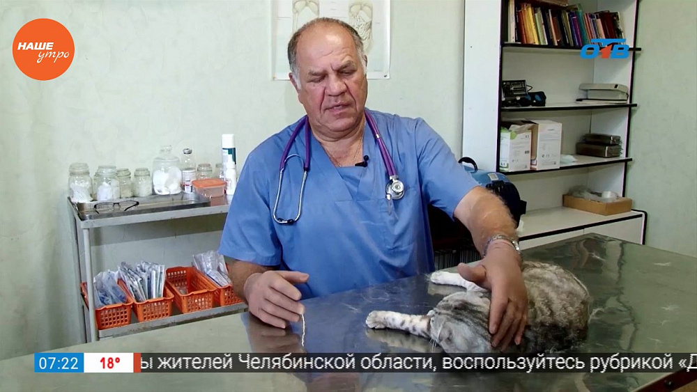 Наше УТРО на ОТВ – Зоосоветы