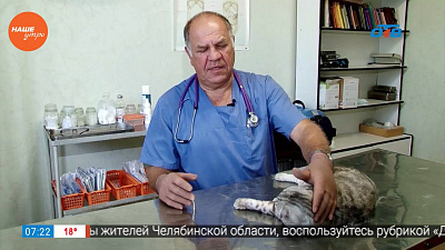 Наше УТРО на ОТВ – Зоосоветы