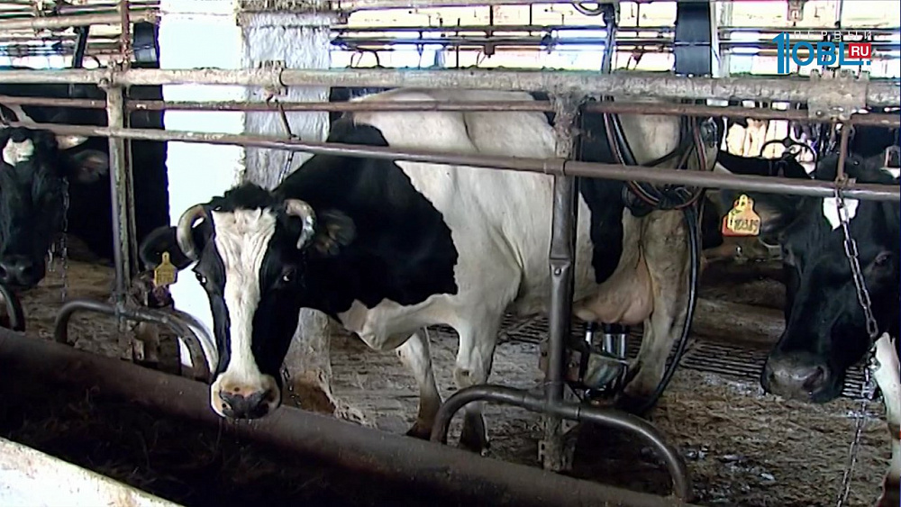 Субсидии для инноваций в сельском хозяйстве