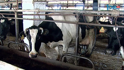 Субсидии для инноваций в сельском хозяйстве