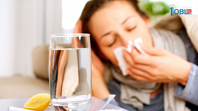 ЛОР - полынь цветет