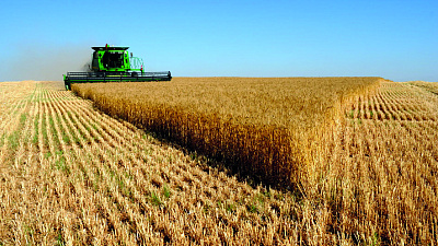 Высокий урожай ожидается в Челябинской области по итогам сезона