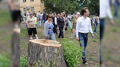 Вырубленные деревья в Металлургическом районе требуют «компенсировать» в трехкратном размере