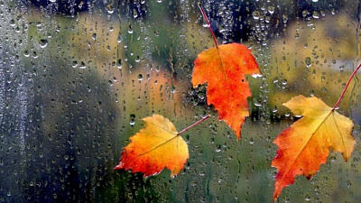 Прохлада и дожди ожидаются в Челябинской области