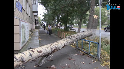 Время новостей. Миасс от 04.09.2017
