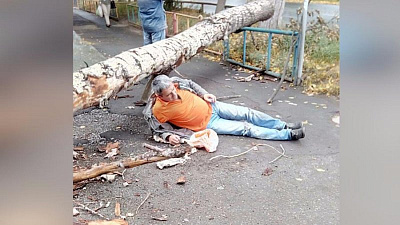 В Миассе дерево упало на прохожего и забор детского сада