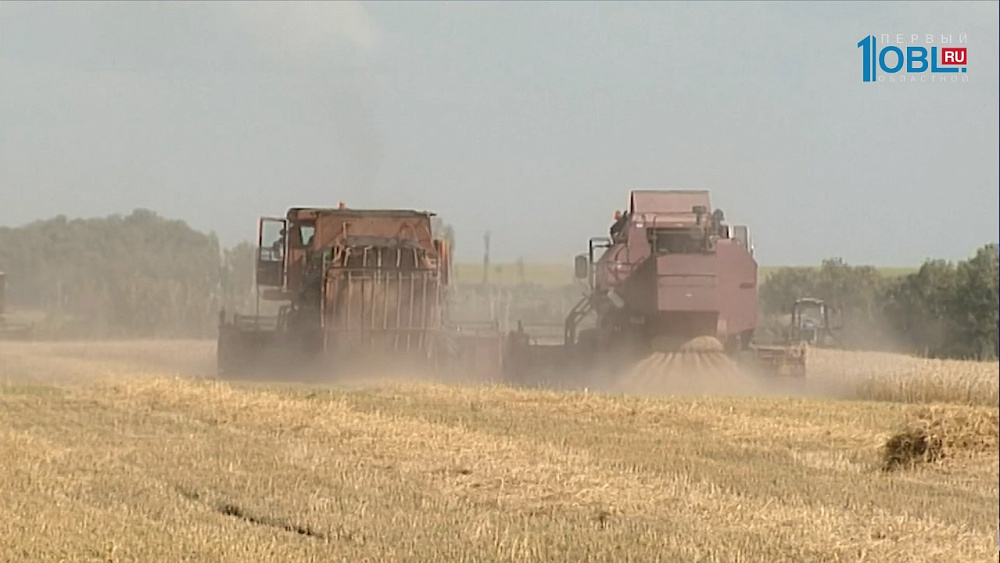 Аграрии собрали первый миллион тонн зерна