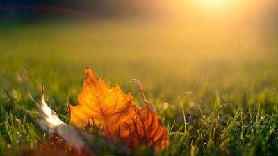 Синоптики прогнозируют потепление к концу рабочей недели 