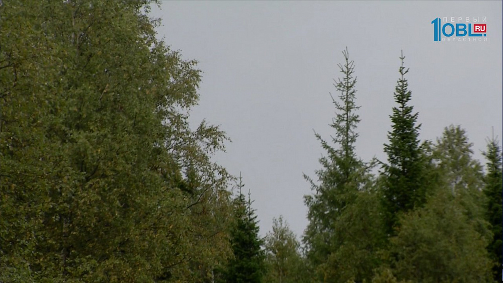 На Южном Урале появится маршрут для эко-туристов