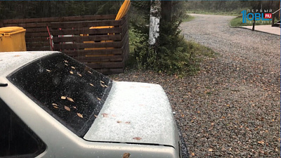 В Челябинской области выпал снег